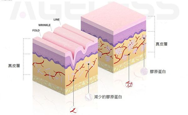 1394435229-3370132907_n