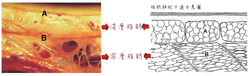 %e6%9c%aa%e5%91%bd%e5%90%8d-2