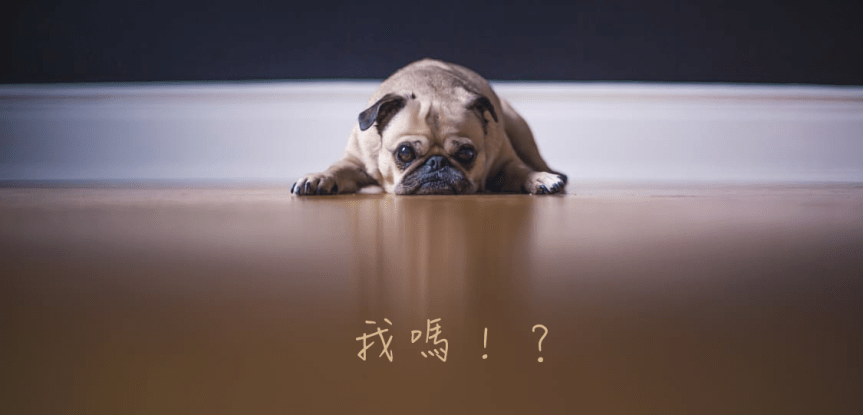 [電波拉皮] 你的"皮"給我繃緊一點