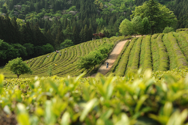 1404115430-1113483308