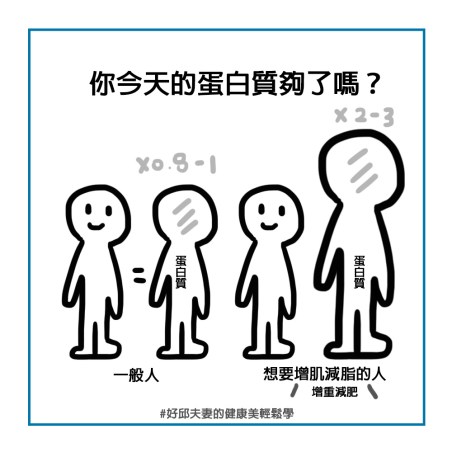 一天的蛋白質攝取量